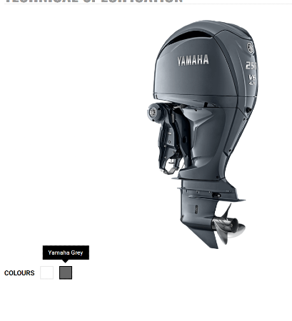 Screenshot 2024-07-01 121418 F250S